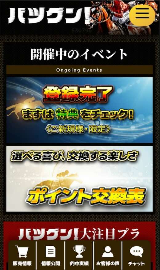 バツグンという競馬予想サイトの会員ページ